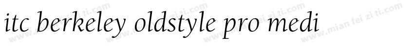 itc berkeley oldstyle pro medium字体转换
